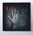 Life line - linia życia. Grafika Climbe