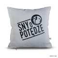 poduszki dekoracyjne climbe sny o potędze (1).jpg