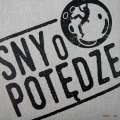 poduszki dekoracyjne climbe sny o potędze (2).jpg