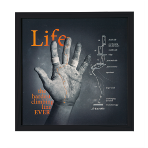 Grafika ścienna Life line 
